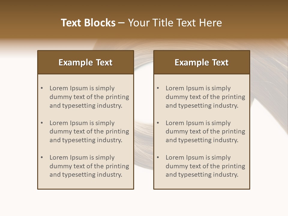 Shampoo Coiffure Hair PowerPoint Template