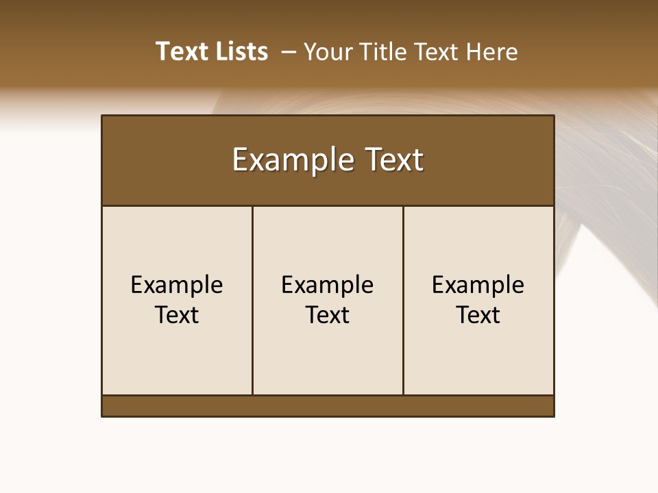 Shampoo Coiffure Hair PowerPoint Template
