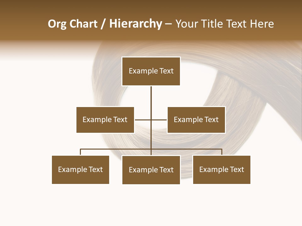 Shampoo Coiffure Hair PowerPoint Template