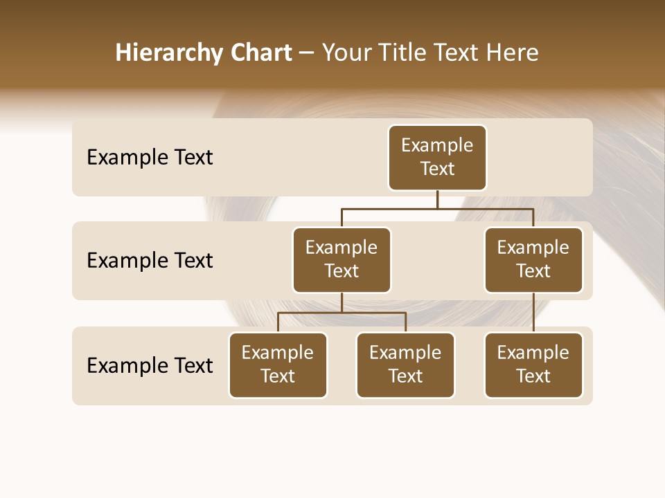 Shampoo Coiffure Hair PowerPoint Template