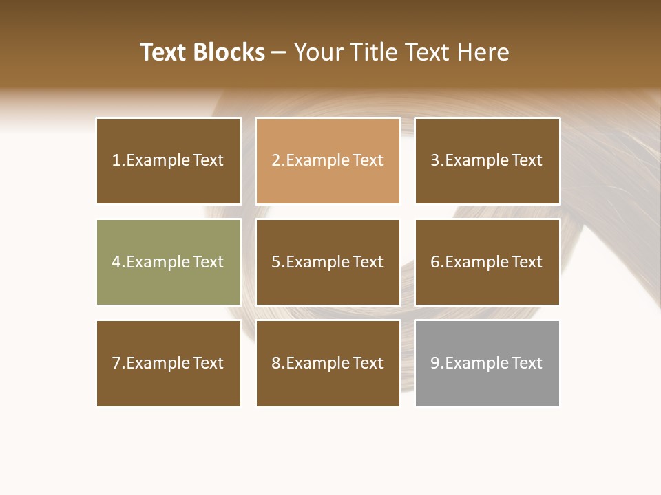 Shampoo Coiffure Hair PowerPoint Template