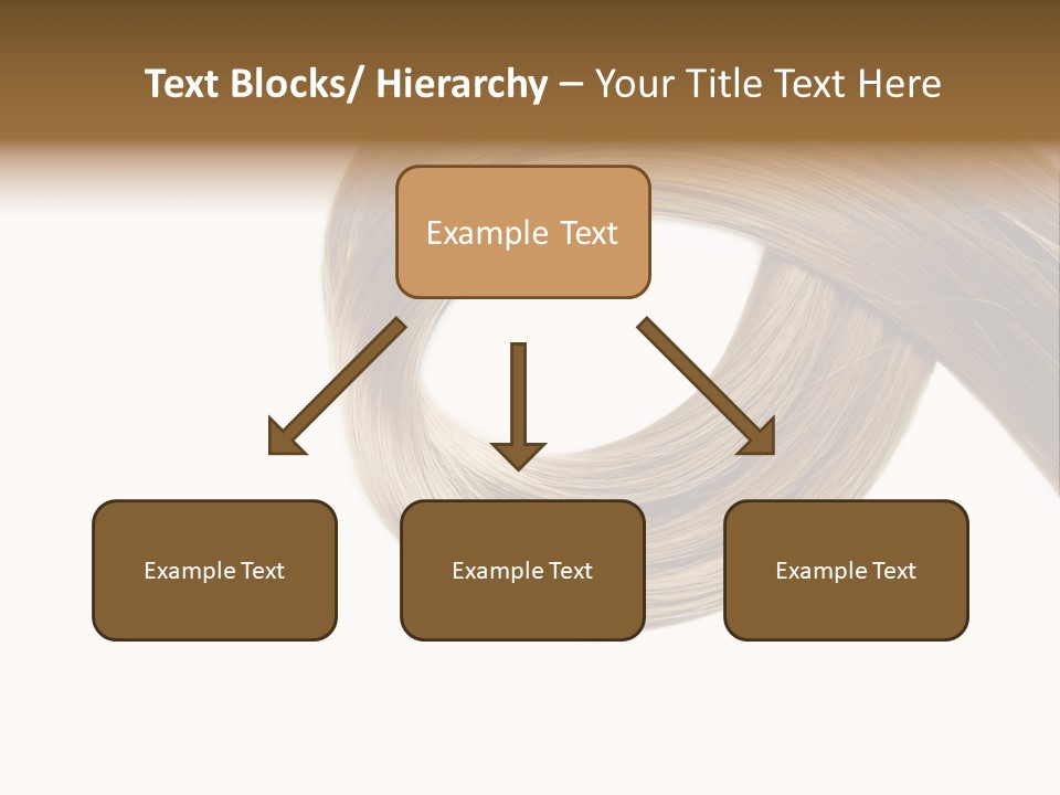 Shampoo Coiffure Hair PowerPoint Template