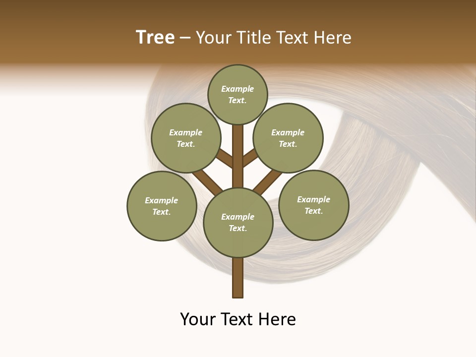 Shampoo Coiffure Hair PowerPoint Template