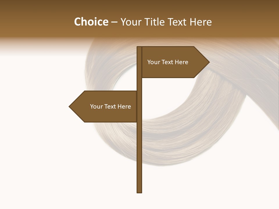 Shampoo Coiffure Hair PowerPoint Template