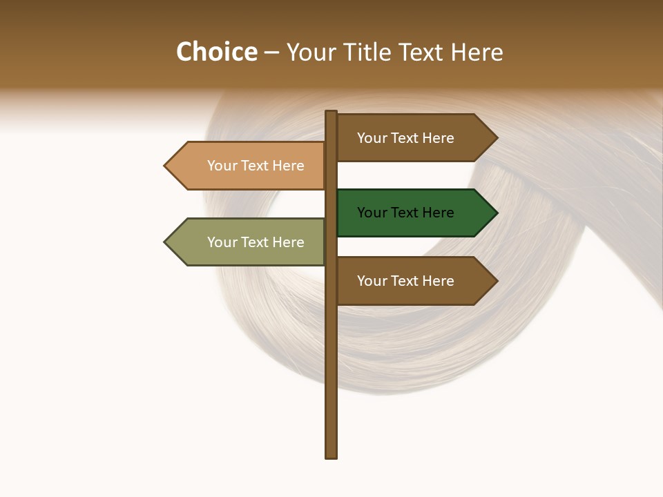 Shampoo Coiffure Hair PowerPoint Template