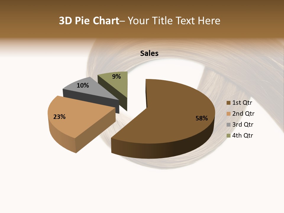 Shampoo Coiffure Hair PowerPoint Template