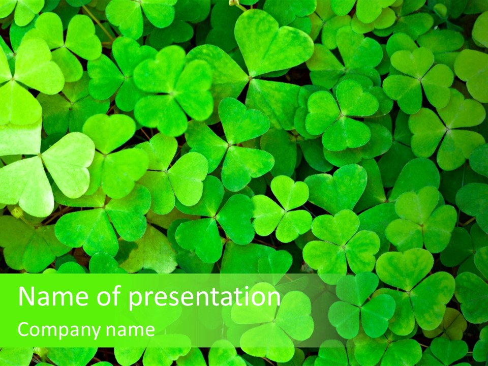 Ecology Irish Day PowerPoint Template