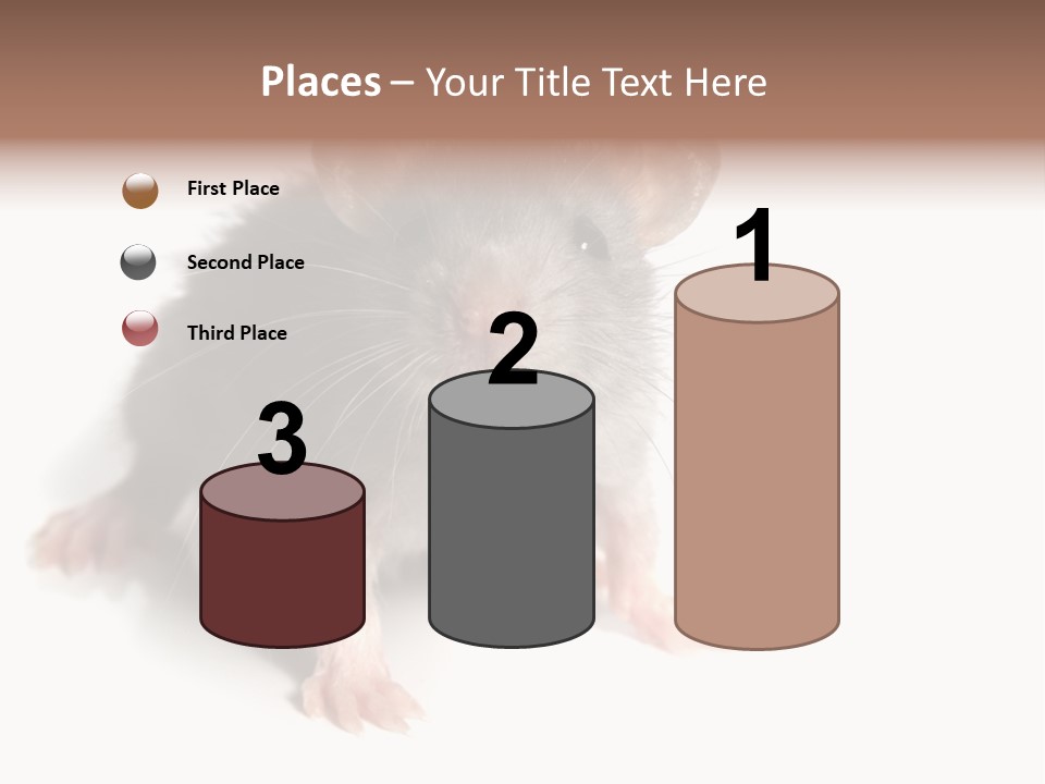 Background Tail Fluffy PowerPoint Template