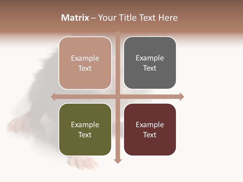 Background Tail Fluffy PowerPoint Template