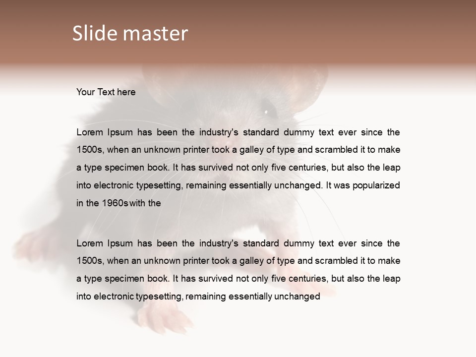 Background Tail Fluffy PowerPoint Template