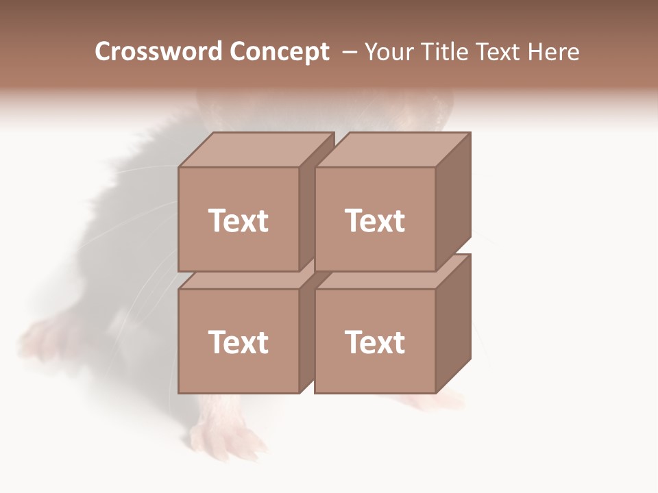 Background Tail Fluffy PowerPoint Template