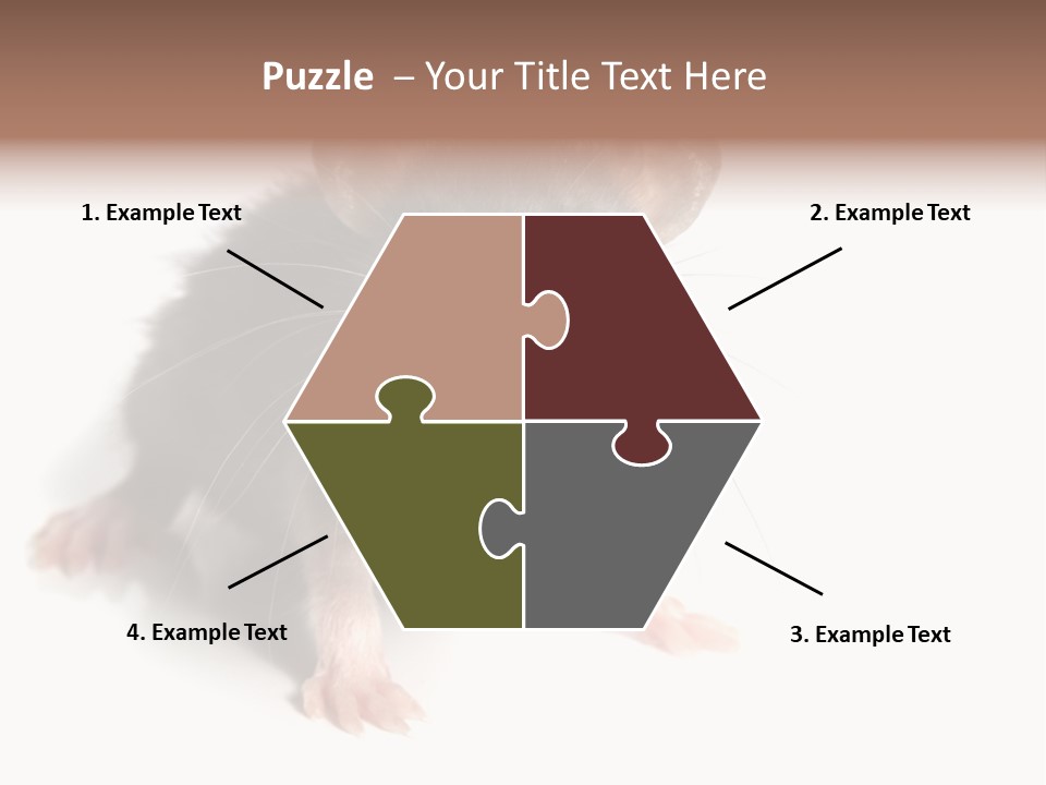 Background Tail Fluffy PowerPoint Template