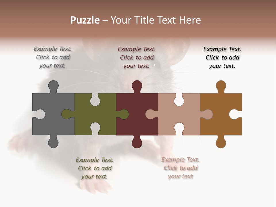 Background Tail Fluffy PowerPoint Template