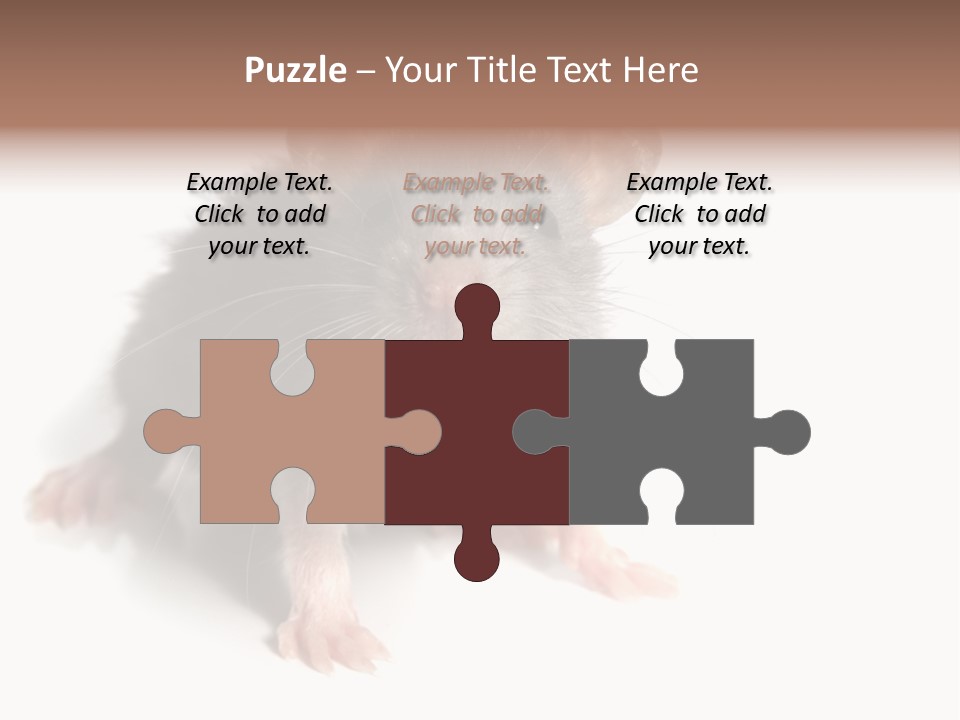 Background Tail Fluffy PowerPoint Template