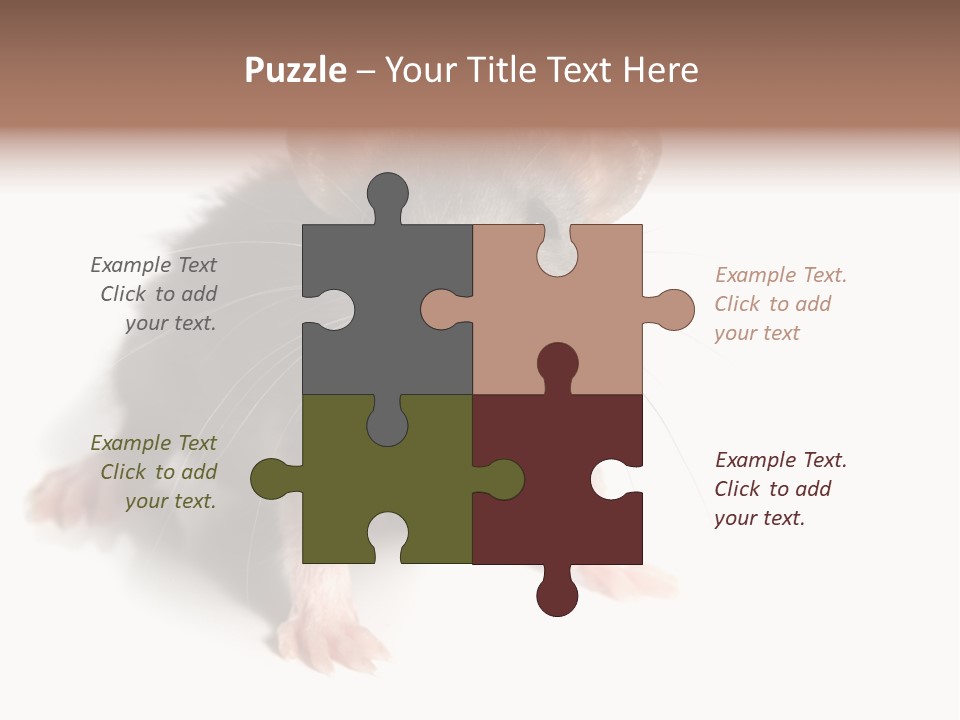 Background Tail Fluffy PowerPoint Template