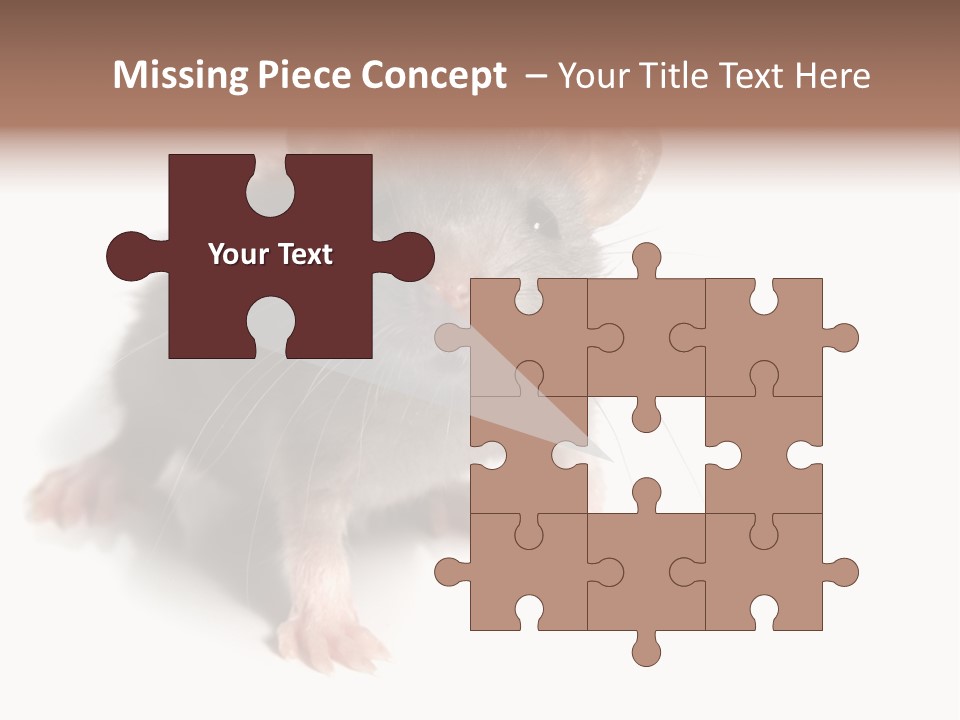 Background Tail Fluffy PowerPoint Template