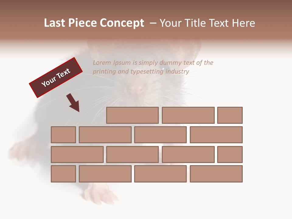 Background Tail Fluffy PowerPoint Template