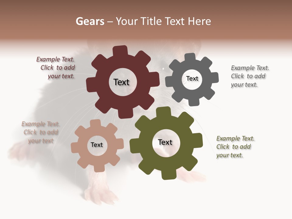 Background Tail Fluffy PowerPoint Template