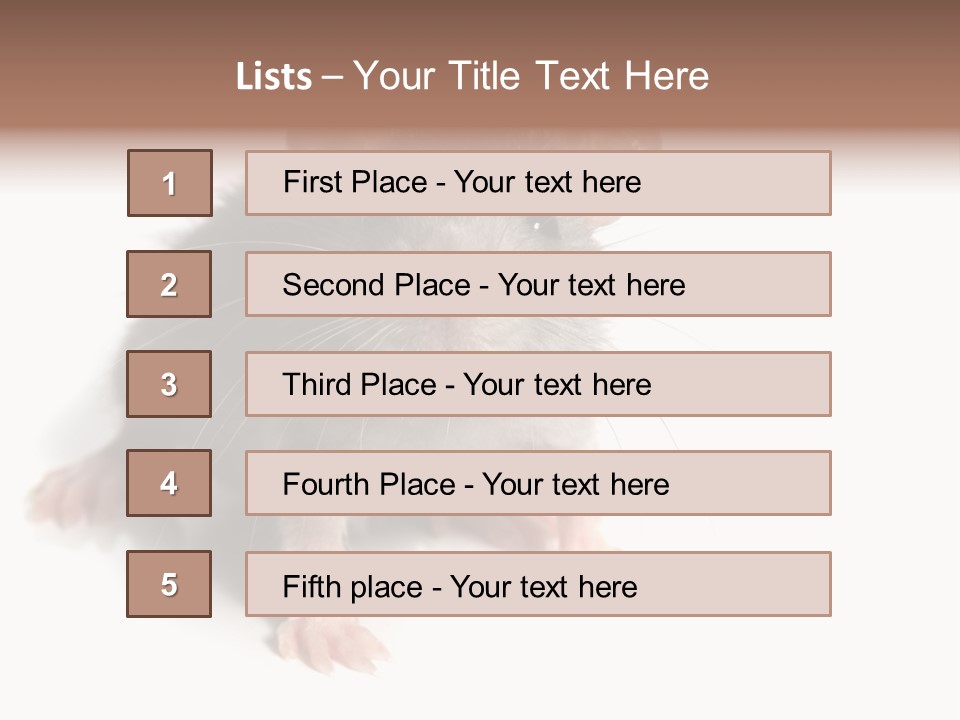 Background Tail Fluffy PowerPoint Template