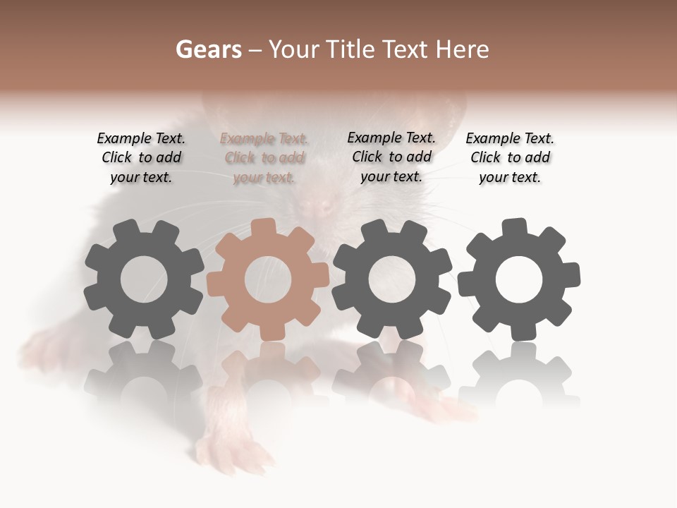 Background Tail Fluffy PowerPoint Template