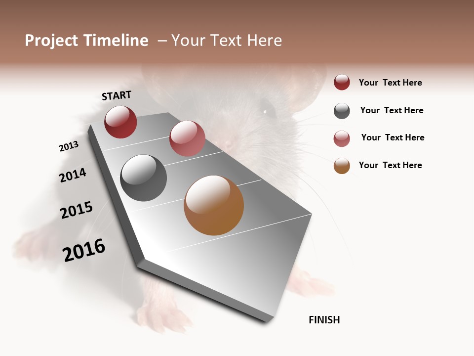 Background Tail Fluffy PowerPoint Template