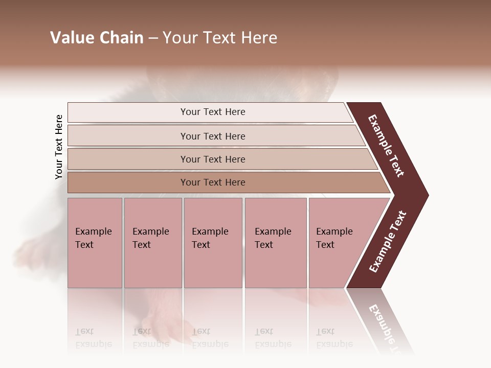 Background Tail Fluffy PowerPoint Template