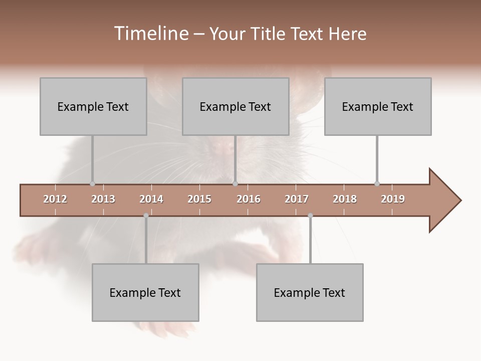 Background Tail Fluffy PowerPoint Template