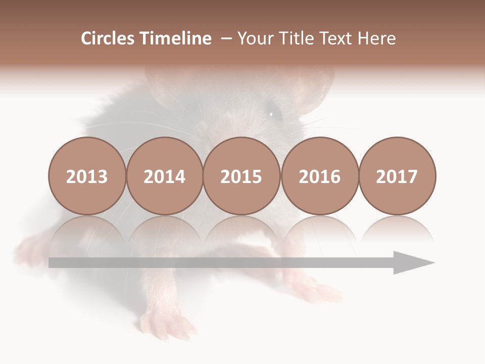 Background Tail Fluffy PowerPoint Template