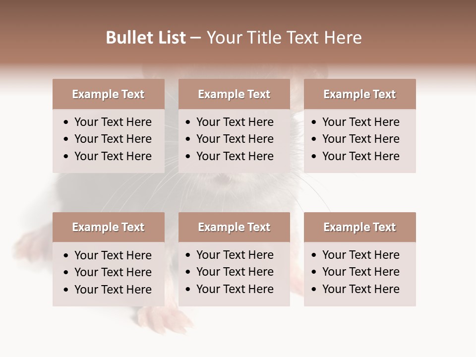 Background Tail Fluffy PowerPoint Template