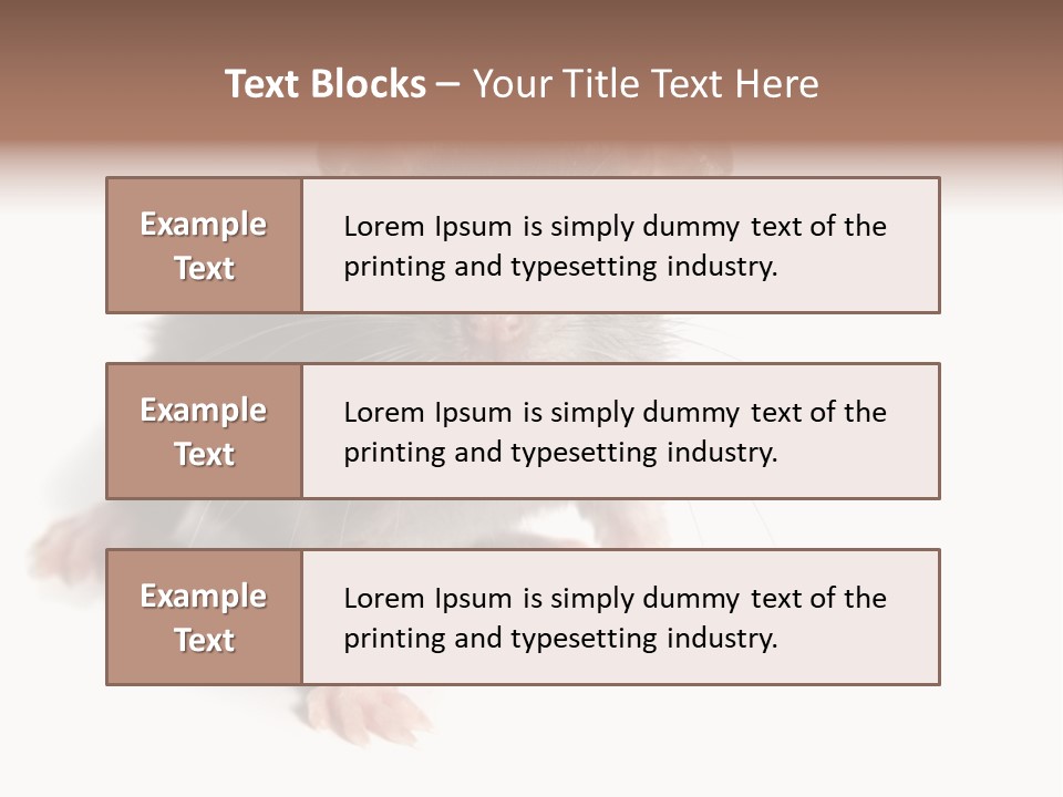 Background Tail Fluffy PowerPoint Template