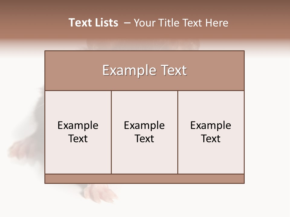 Background Tail Fluffy PowerPoint Template
