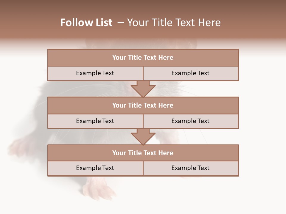Background Tail Fluffy PowerPoint Template
