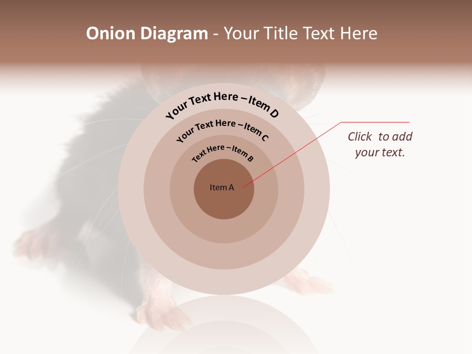 Background Tail Fluffy PowerPoint Template