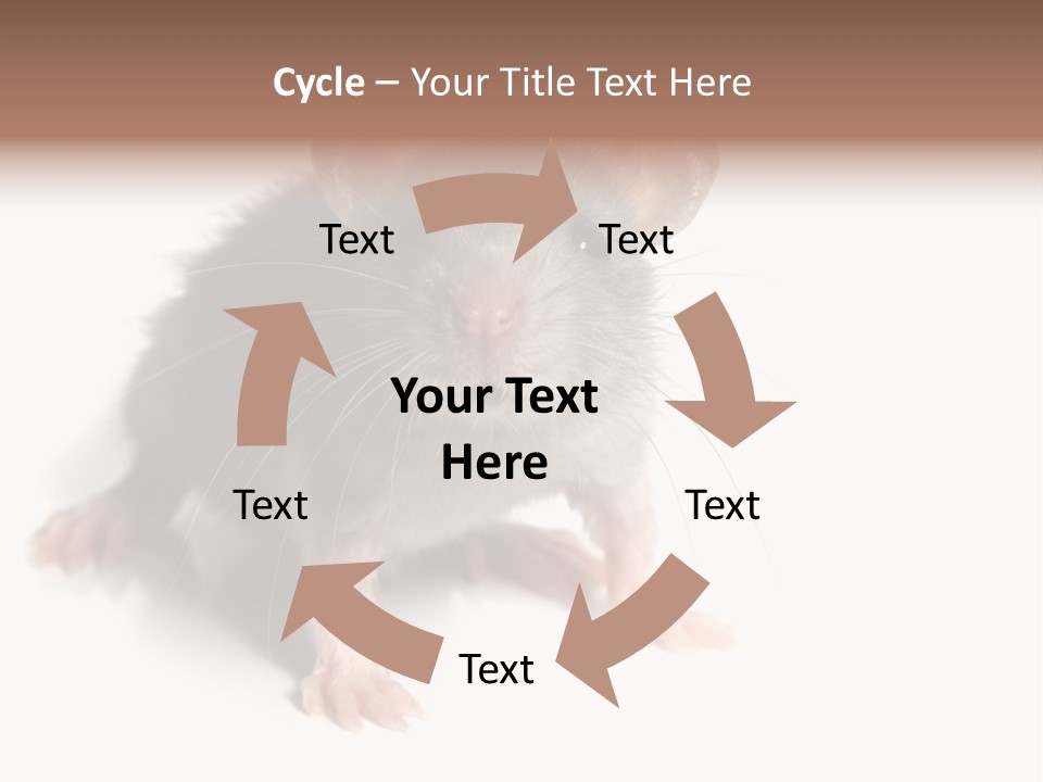 Background Tail Fluffy PowerPoint Template