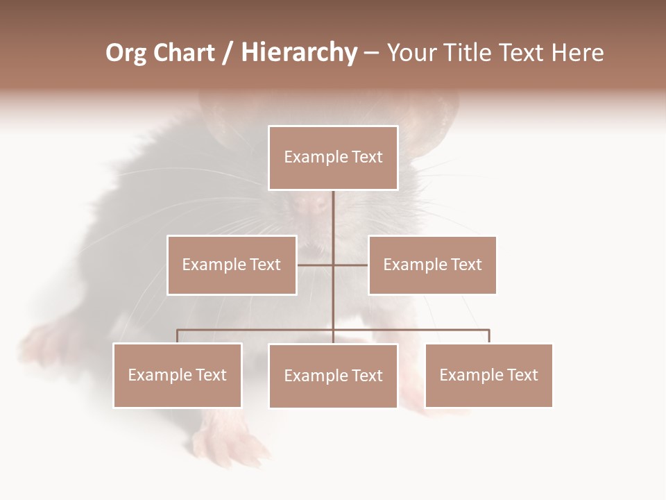 Background Tail Fluffy PowerPoint Template