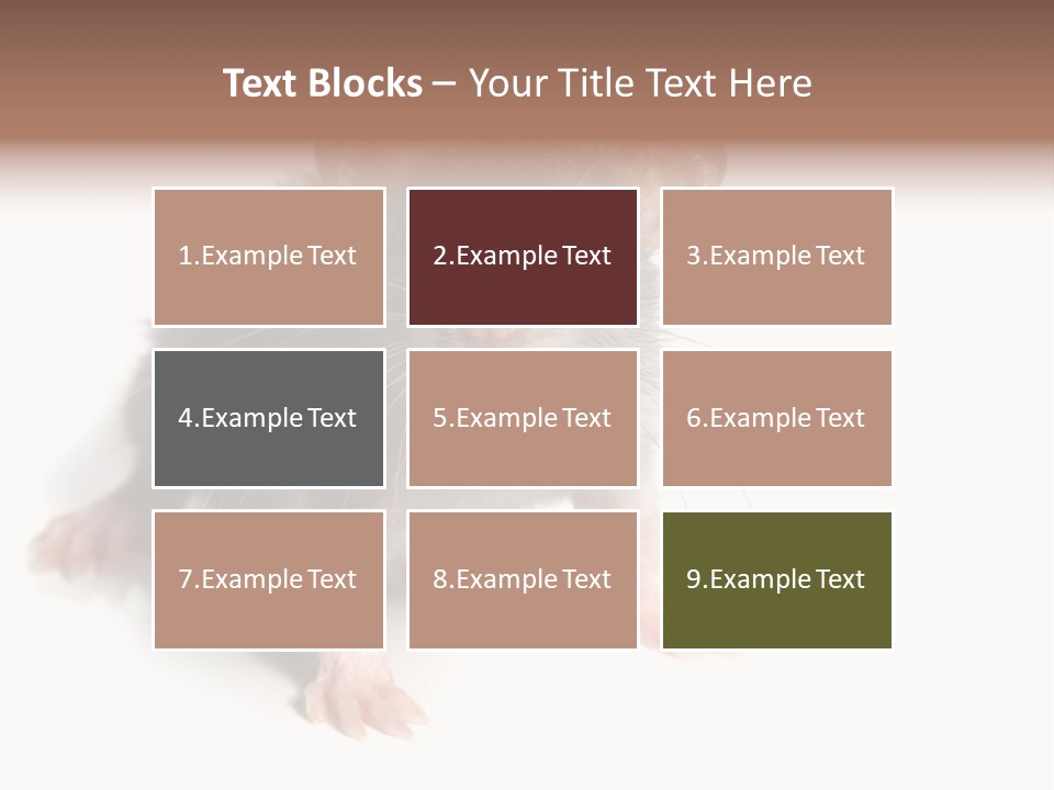 Background Tail Fluffy PowerPoint Template