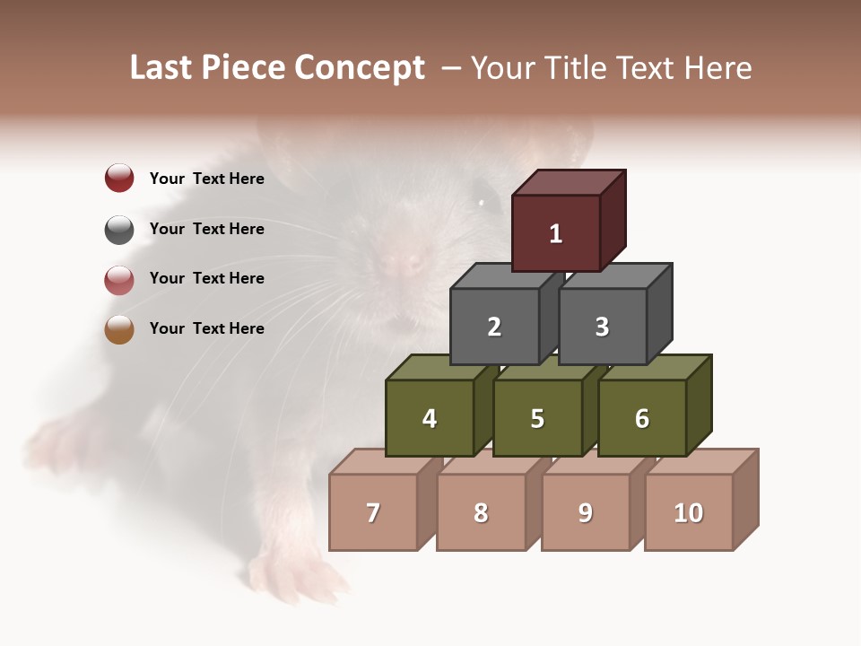 Background Tail Fluffy PowerPoint Template