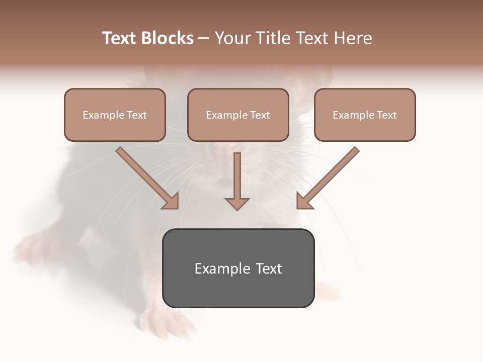 Background Tail Fluffy PowerPoint Template