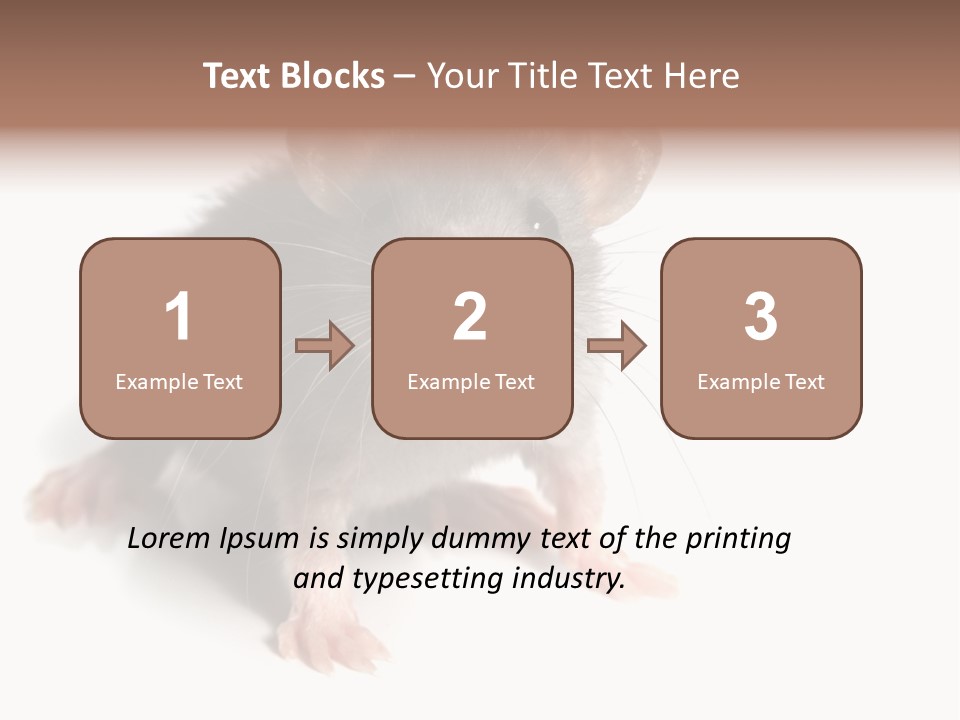 Background Tail Fluffy PowerPoint Template