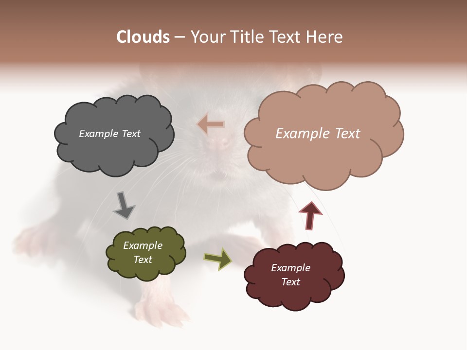 Background Tail Fluffy PowerPoint Template