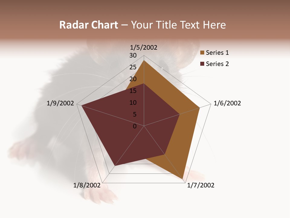 Background Tail Fluffy PowerPoint Template