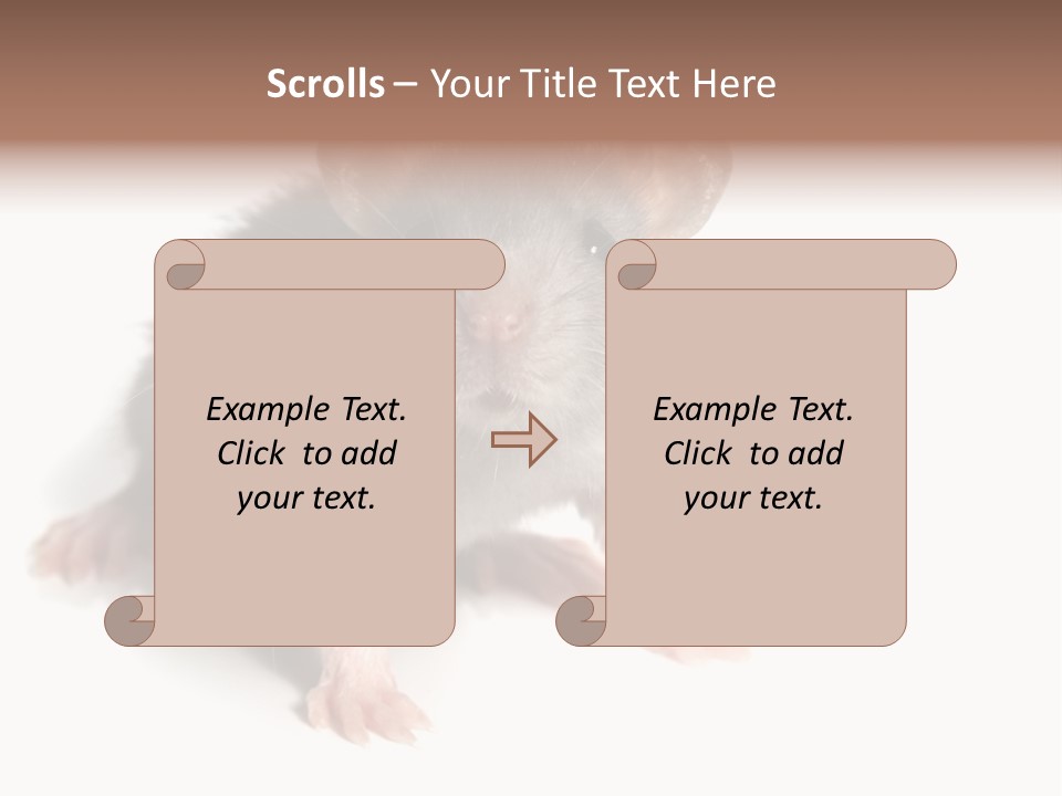 Background Tail Fluffy PowerPoint Template