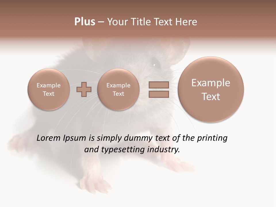 Background Tail Fluffy PowerPoint Template