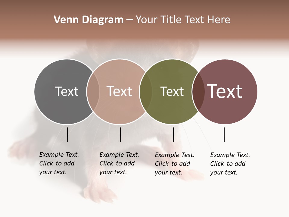 Background Tail Fluffy PowerPoint Template