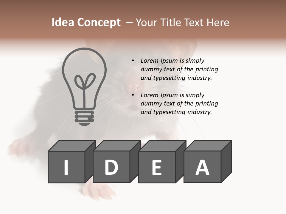 Background Tail Fluffy PowerPoint Template