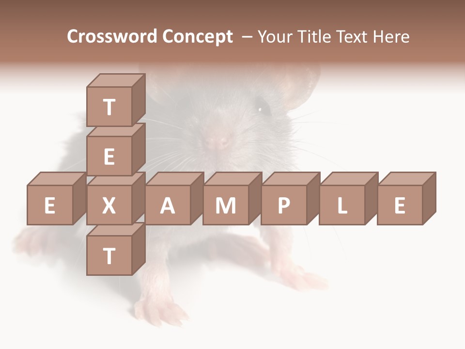 Background Tail Fluffy PowerPoint Template