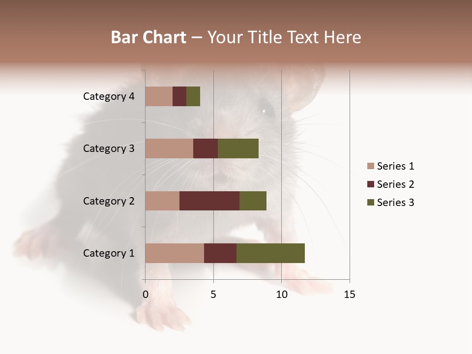 Background Tail Fluffy PowerPoint Template