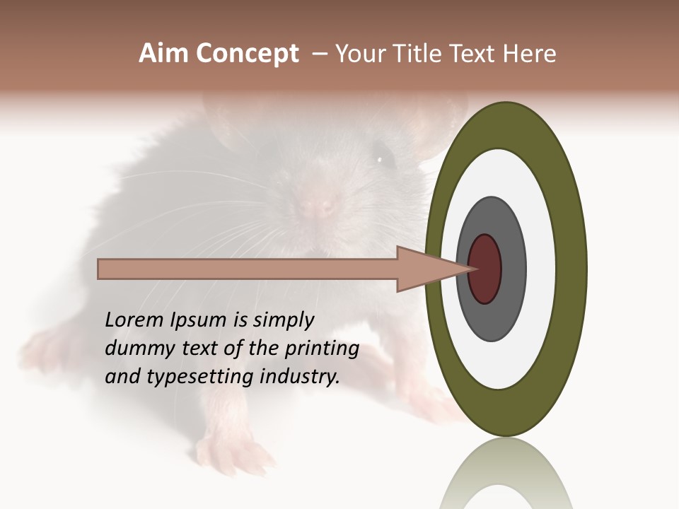 Background Tail Fluffy PowerPoint Template