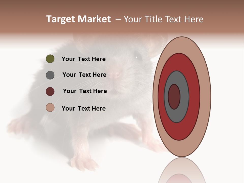 Background Tail Fluffy PowerPoint Template