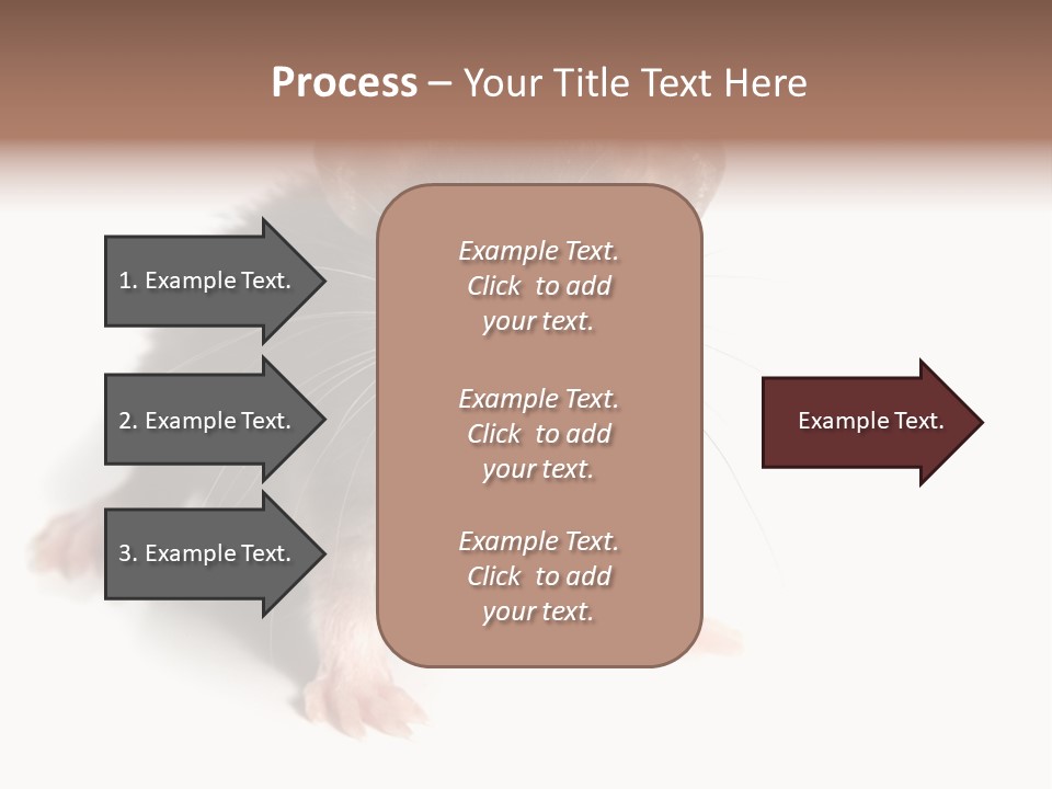 Background Tail Fluffy PowerPoint Template